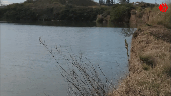 Gif 1.gif