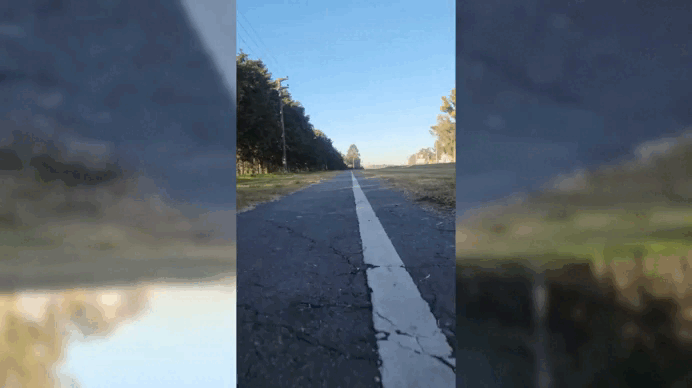 Gif 1.gif