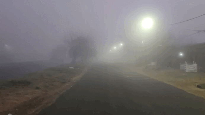 Gif 2.gif