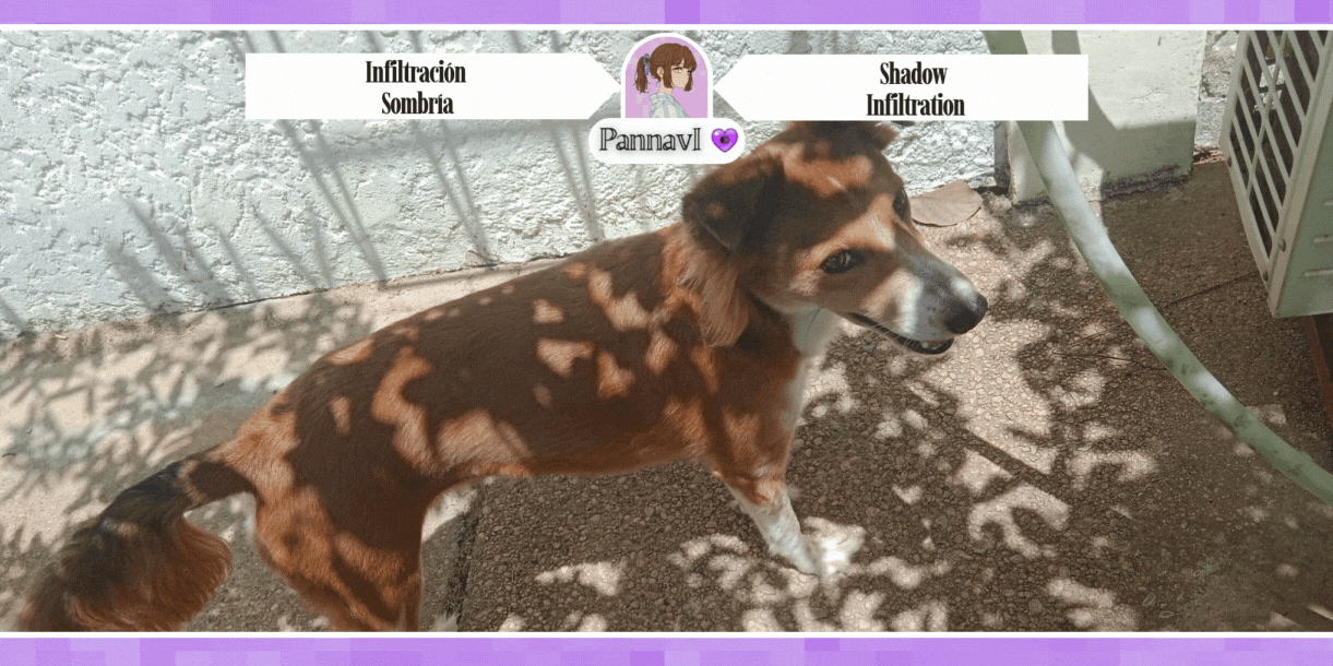 Portada_Lila (2).gif