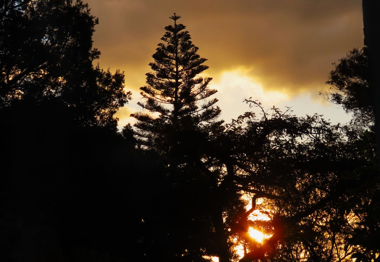 https://files.peakd.com/file/peakd-hive/papilloncharity/23wWpSMcKKNbuitairAqpH2JVYSSFpCH7WxSUARETPvbwZDdU7m5EncBaW8EtacPBqdmJ.JPG