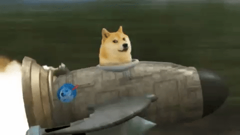 doge to the moon.gif