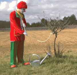 clown.gif