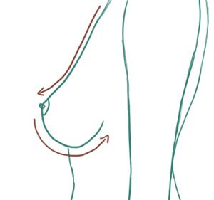 Drawing Tutorial : How to Draw Breasts ?