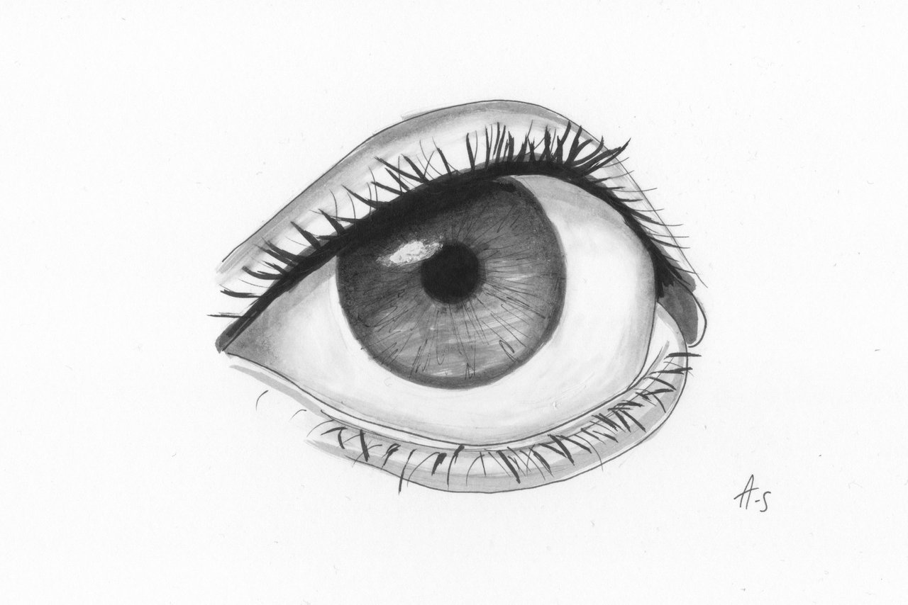Beautiful eye drawing done with ballpoint pen  9GAG