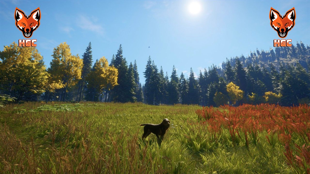 theHunter: Call of the Wild Gameplay Overview