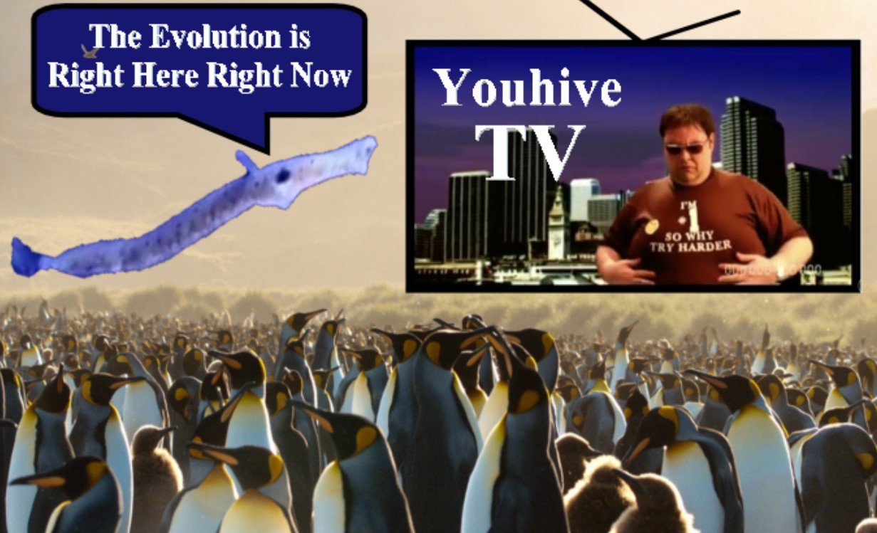 https://files.peakd.com/file/peakd-hive/promete0sz/23x18xAMMRb8taULNtpyRc92o3s6c4xeB2Gy8Bzsn4PDxfhmgHLWEu9bu8nfp1DPLC3eL.jpg