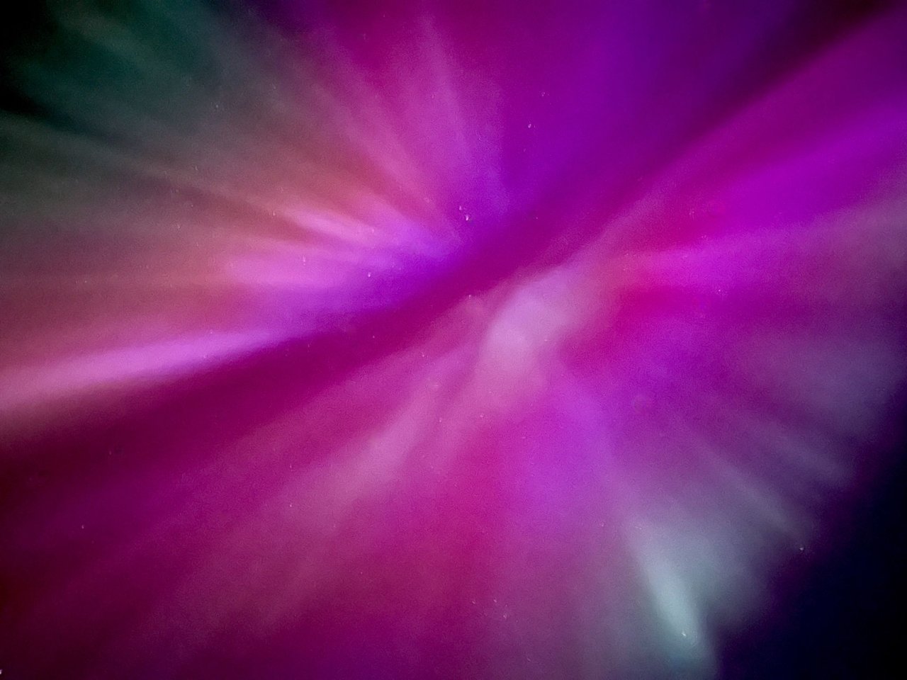 https://files.peakd.com/file/peakd-hive/prydefoltz/Eo6KvUVQSw8GZdTGkuxqoL13xyVSykEZ3avavpTaEhNmuhonjTjh8AZ2bFBtwdm2x1E.jpeg