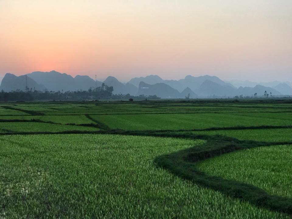 https://files.peakd.com/file/peakd-hive/quangnguyen/EoXsgaxZg13NsdTZ3MYbx7HRjsZkGmqsQYNJNtcYnLyk1SiSnJmPi16mN6A559M8PWp.jpg