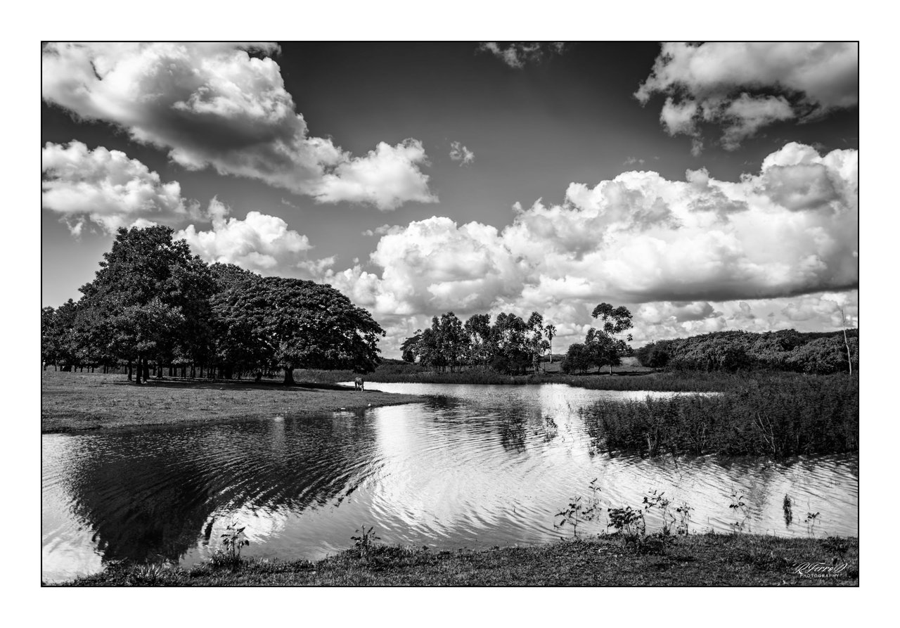 3. Reflections in the water