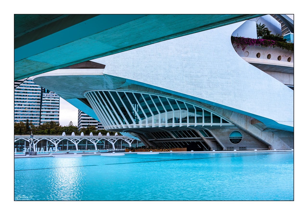 6. Reina Sofía Palace of the Arts
