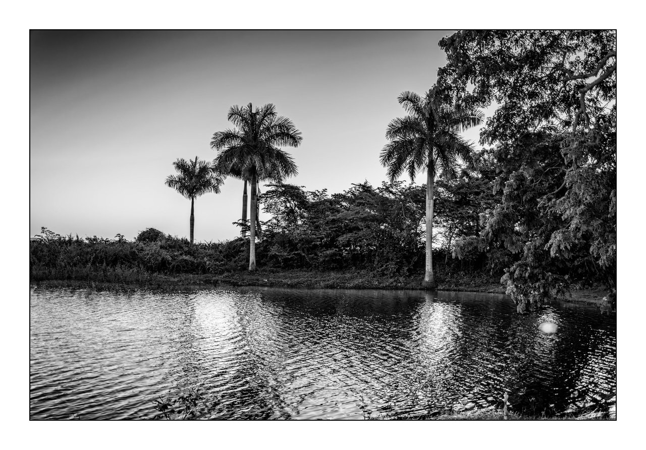 5. Reflections at sunset