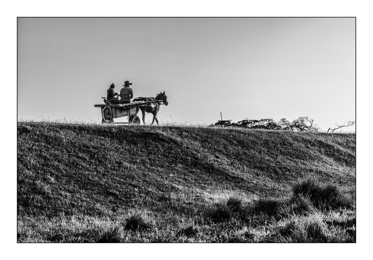 8. Horse cart