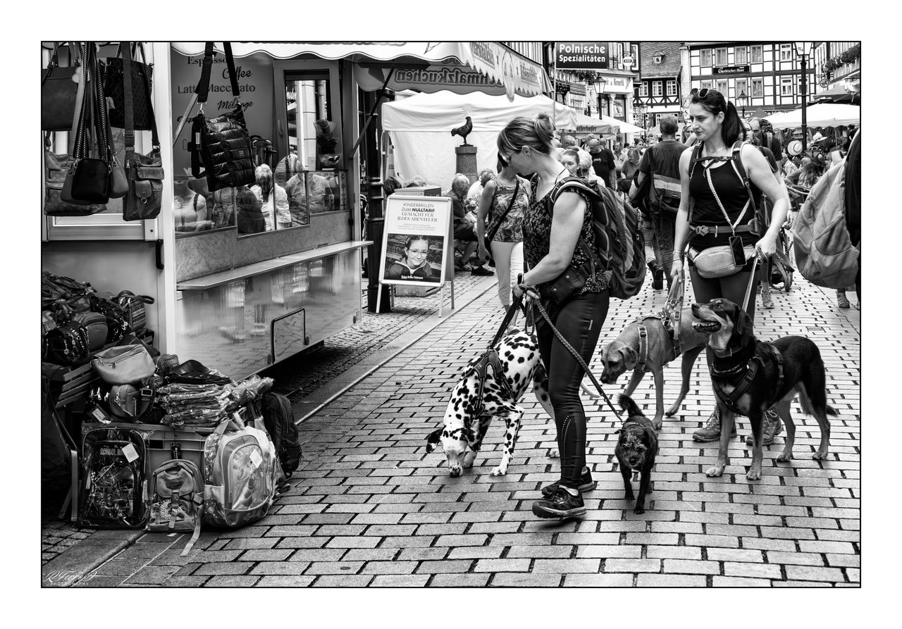2. Women with dogs