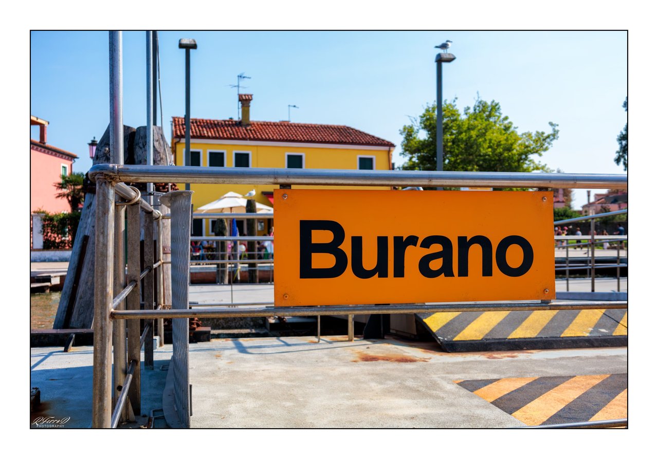 1. Muelle