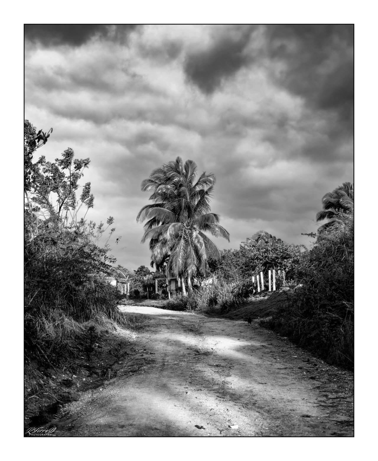 2. The road