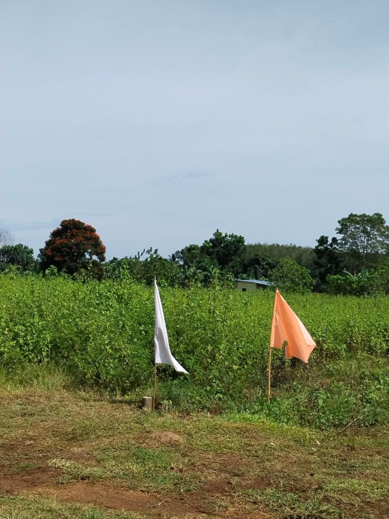 1f078390-d680-4c51-a44a-b8dbdc3c4715.jfif