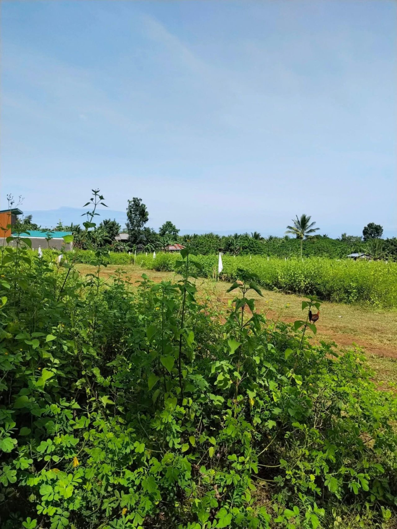 775584c6-1720-4f89-bfa9-50b98a803e55.jfif