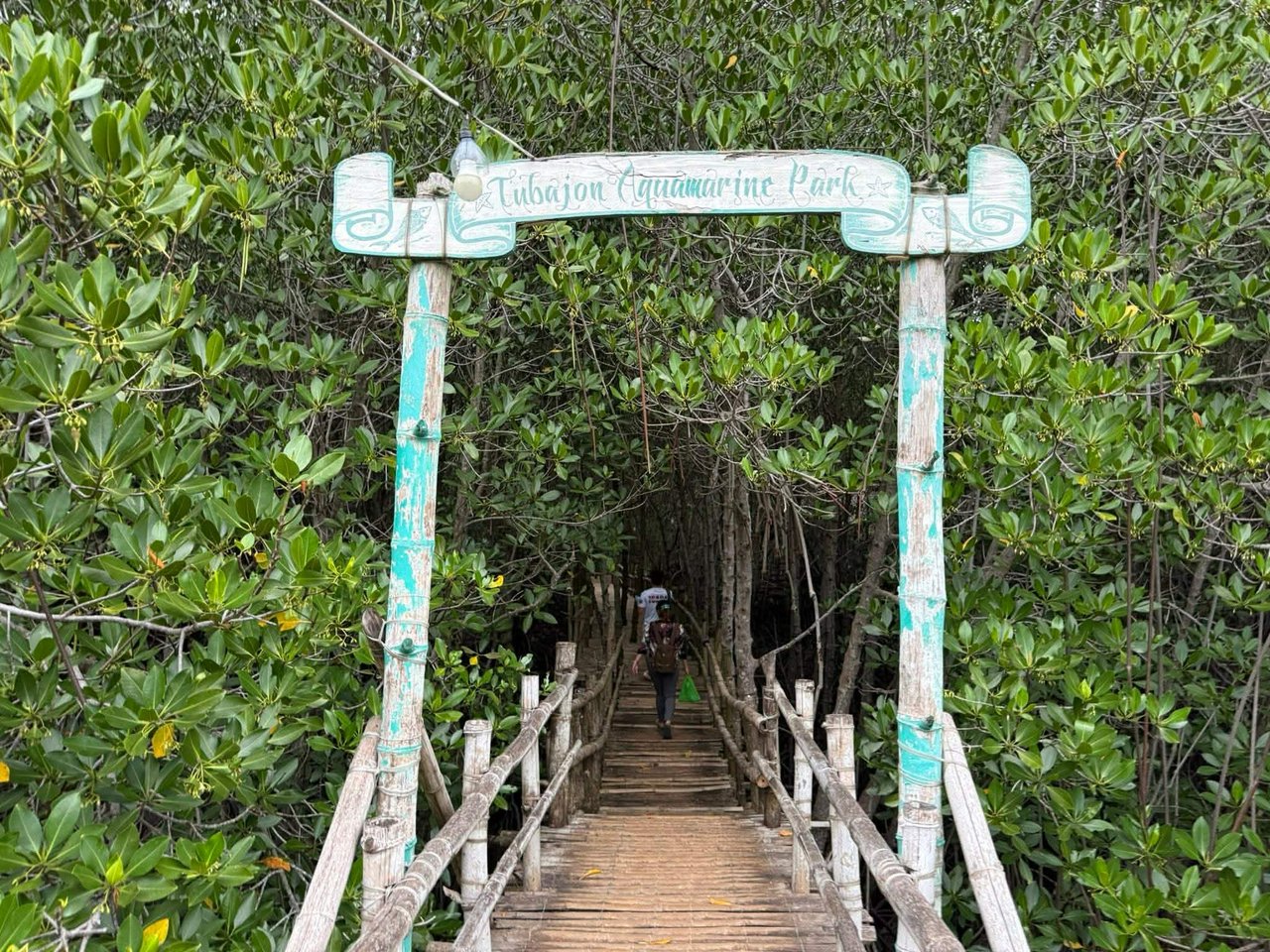 041b2b32-4829-4059-bc59-f2090daa84ef.jfif