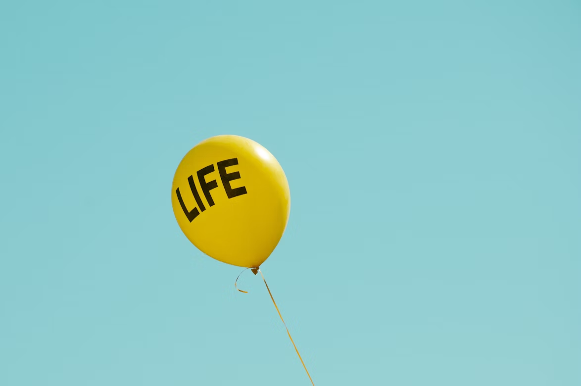 https://files.peakd.com/file/peakd-hive/ranjan02/23uFWEAguSetkcK152zGKwKrod7CXoivLZG2e1mFY6WSBtWtxAXvt3vRm98Vehcuex7FD.png