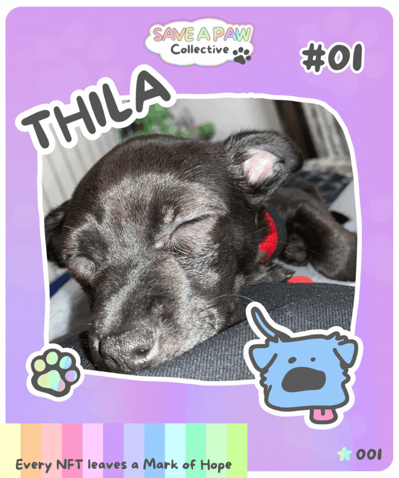 001 - THILA #01.gif