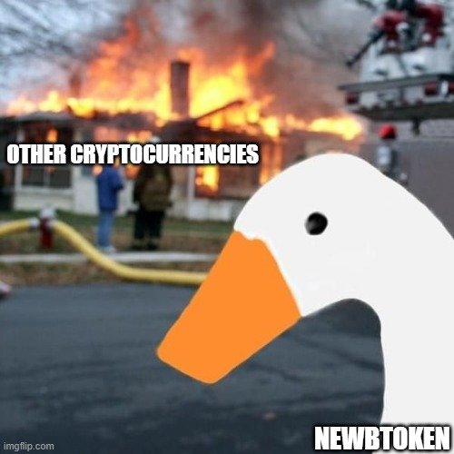 https://files.peakd.com/file/peakd-hive/realhodlr/AKGb2btHh9ZRZmA8FJRsLALE4URyV8GxBVTq1yWZC71pNwgzo7Ewuo87cqCVqSk.jpg