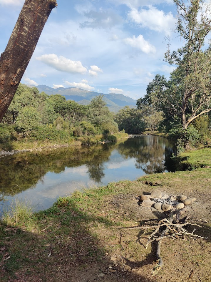 Geehi Camp Bliss, Ducks, Platypus & Views
