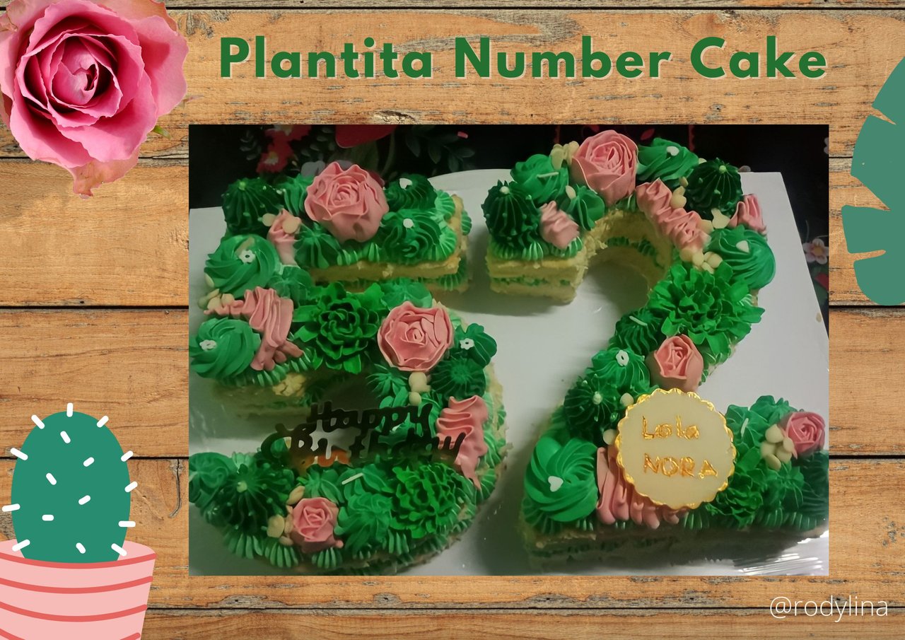 26 cake 💕 (Medium sized) Done by Julie 💛 #napavalley #downtownnapa # numbercake #pinkthemecake #minipatronbottles #26numbercake… | Instagram