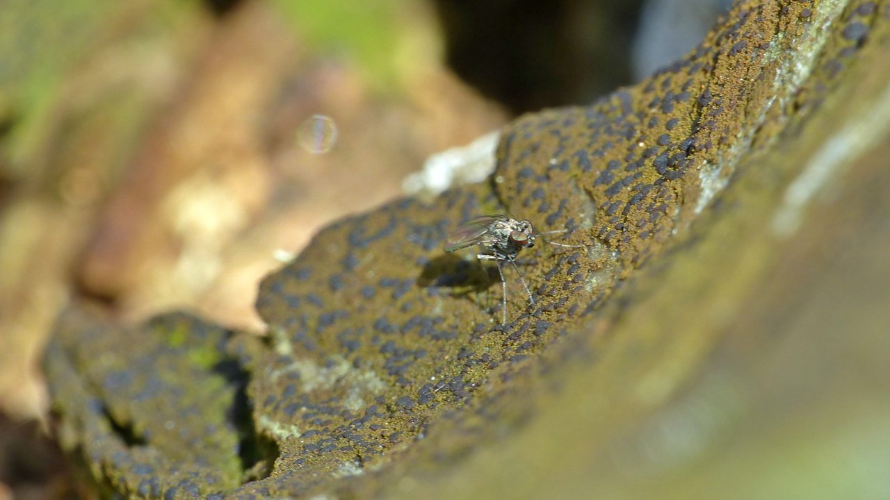 P1200760_v1.JPG