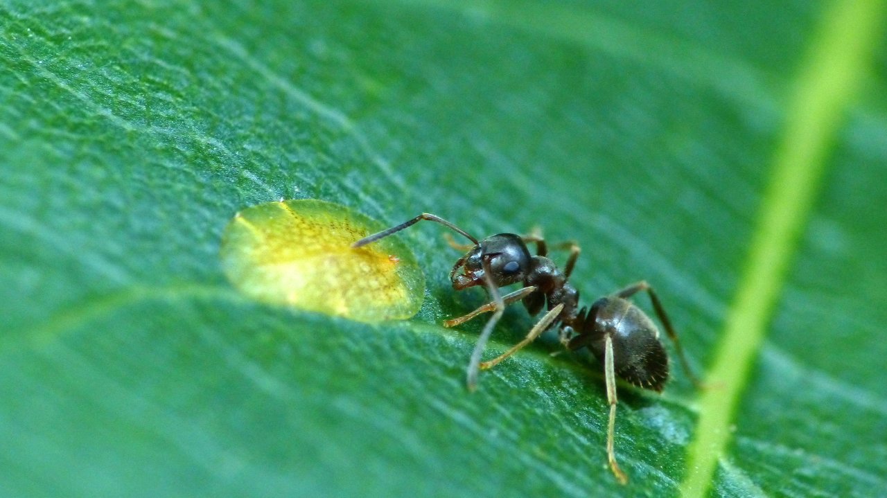 P1200908_v1.JPG