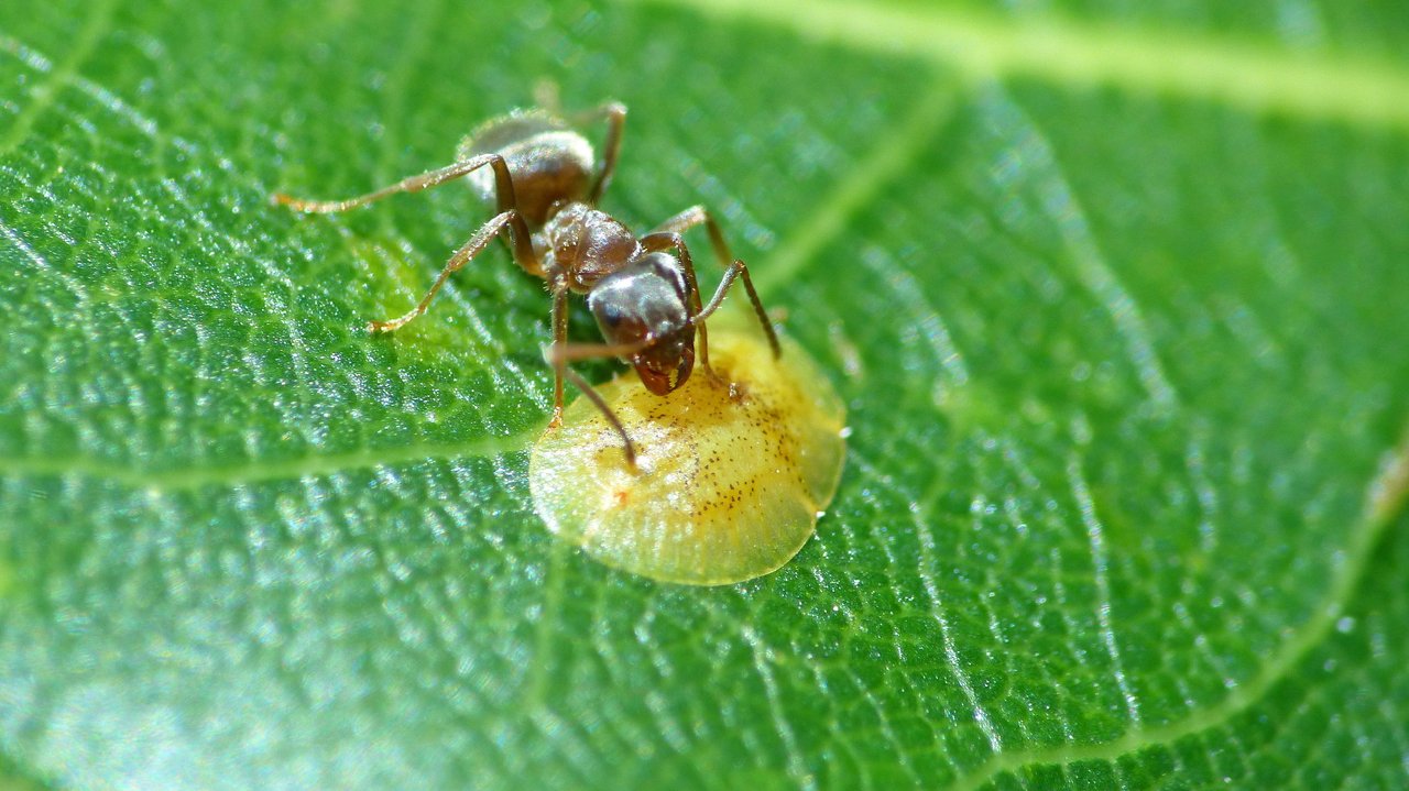 P1200847_v1.JPG
