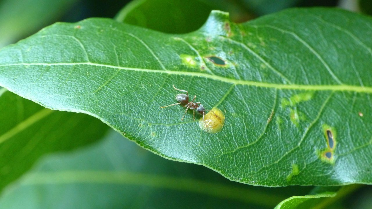 P1200867_v1.JPG