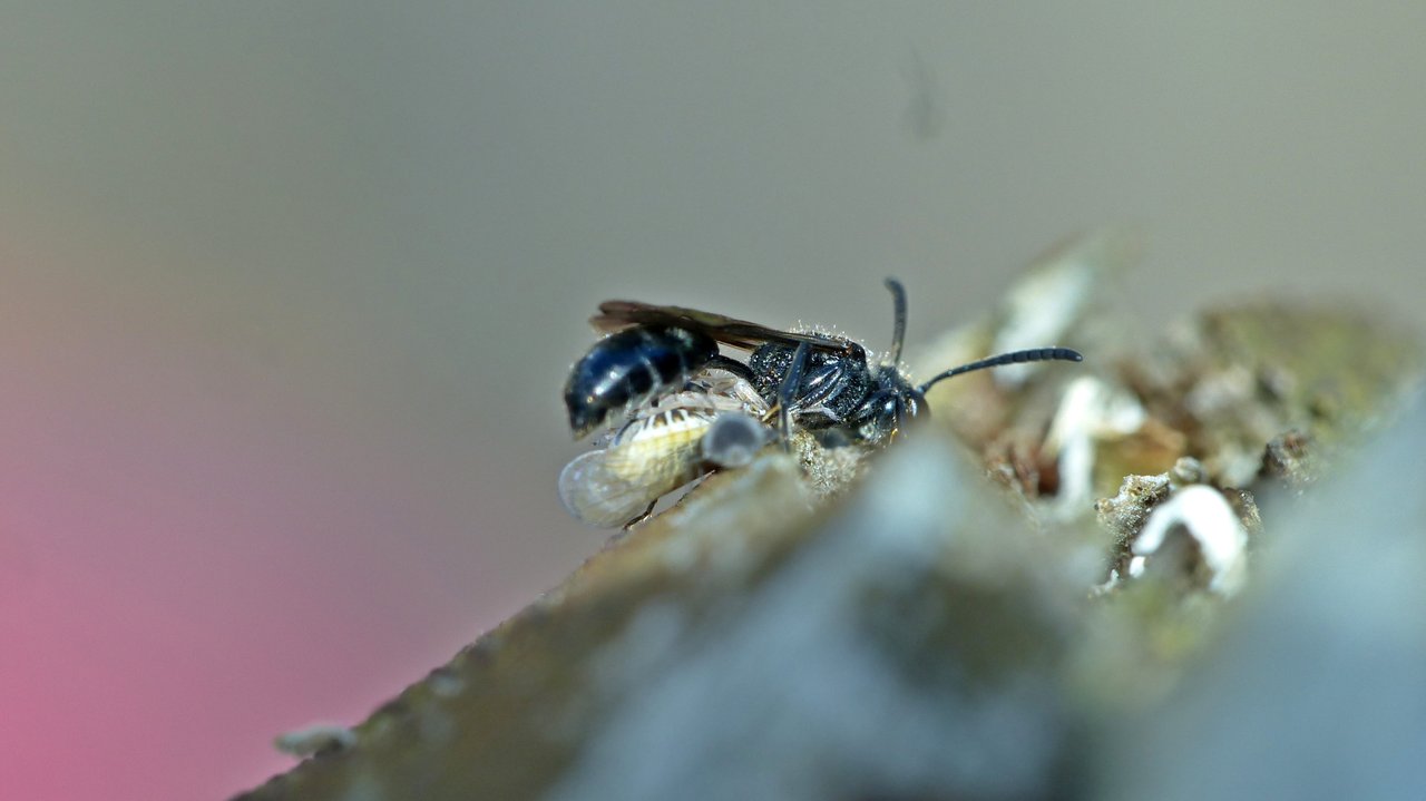 P1200758_v1.JPG