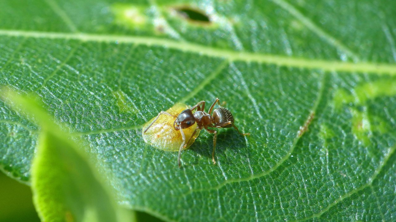 P1200834_v1.JPG