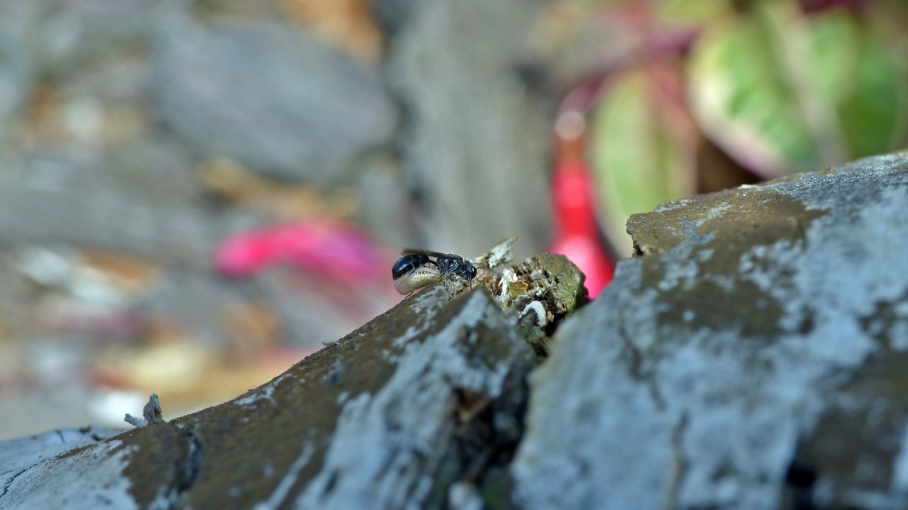 P1200754_v1.JPG