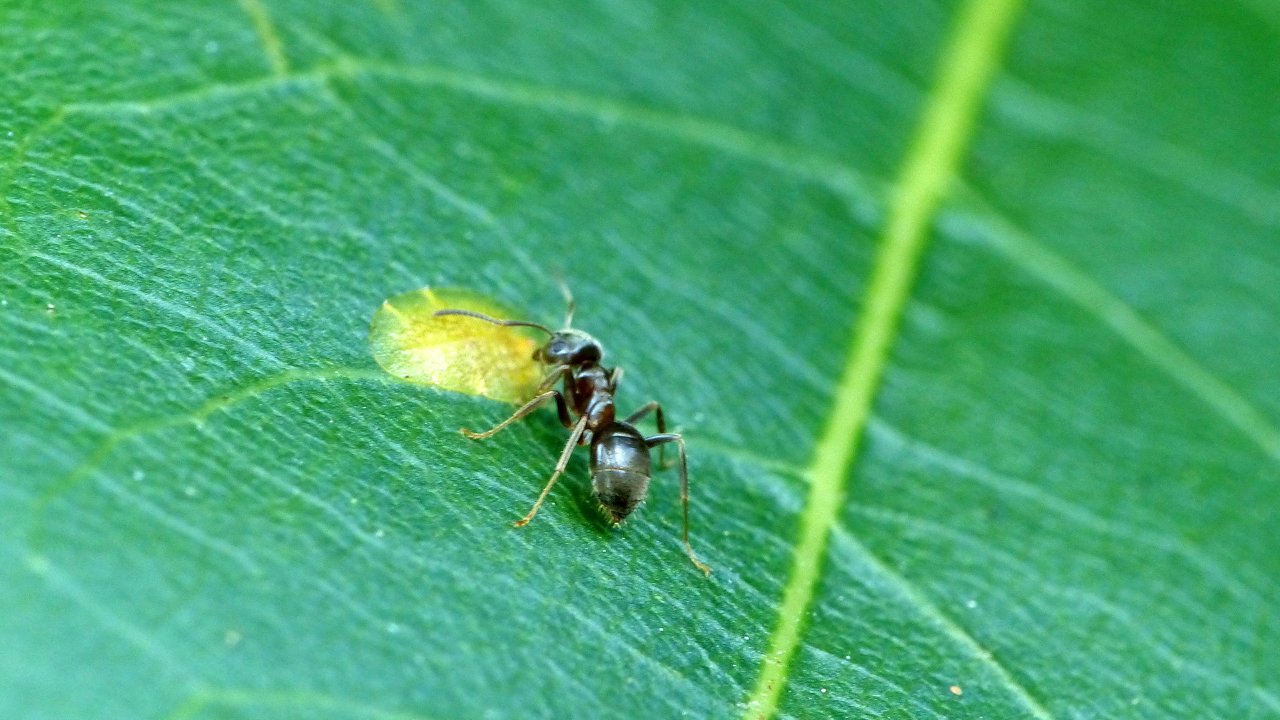 P1200893_v1.JPG