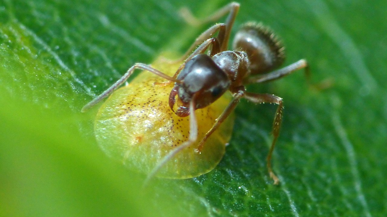 P1200842_v1.JPG