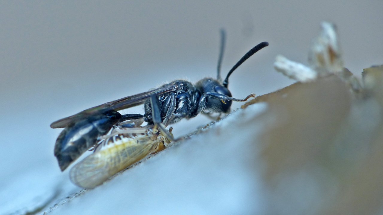 P1200742_v1.JPG