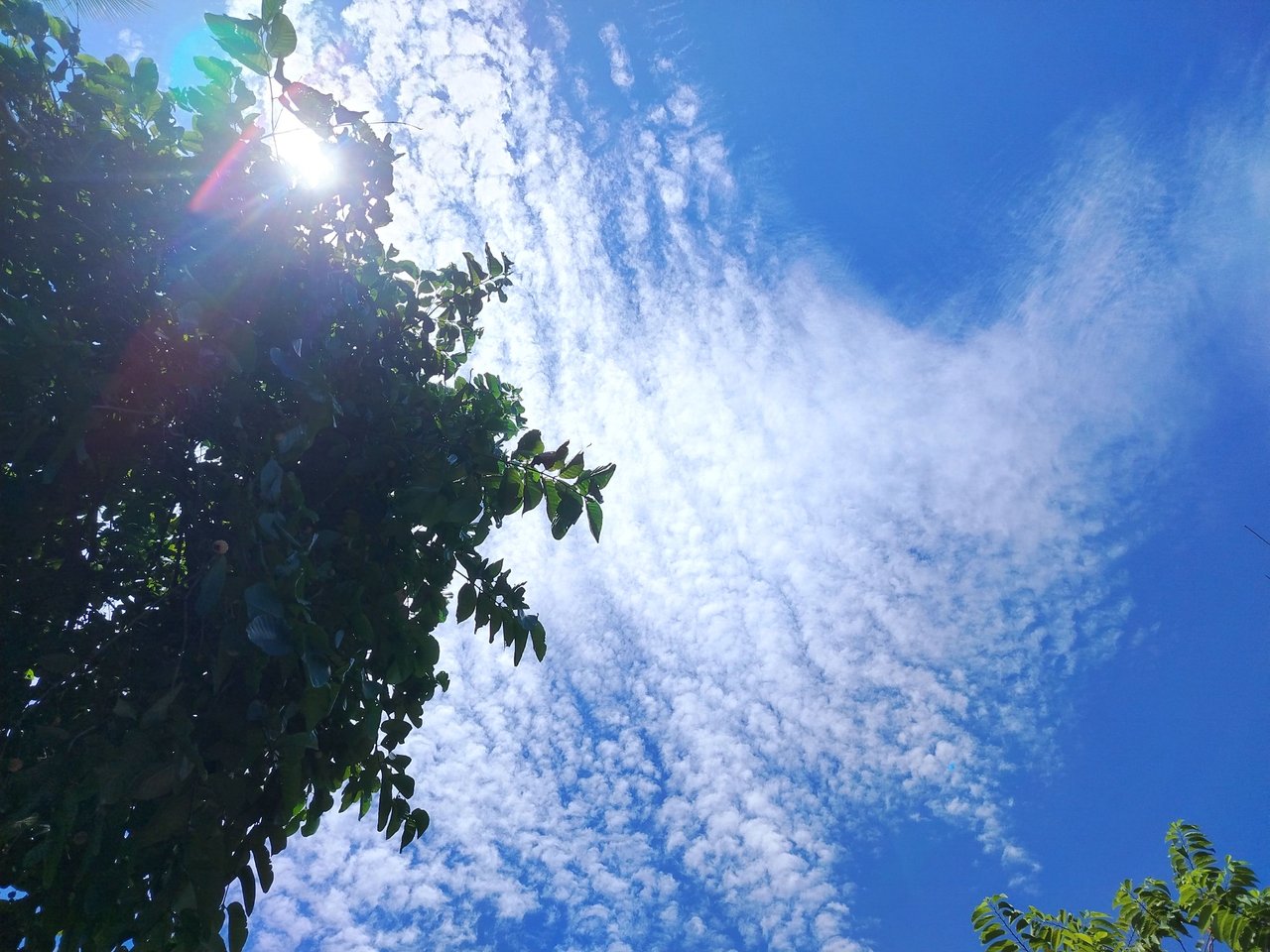 https://files.peakd.com/file/peakd-hive/ruffatotmeee/EorzuWD1xbgS2GTX3iSuMhDxZx7gq4ctYsjaoi9QWS8XtWhmqoRSBDph89jWvWfPVyN.jpg