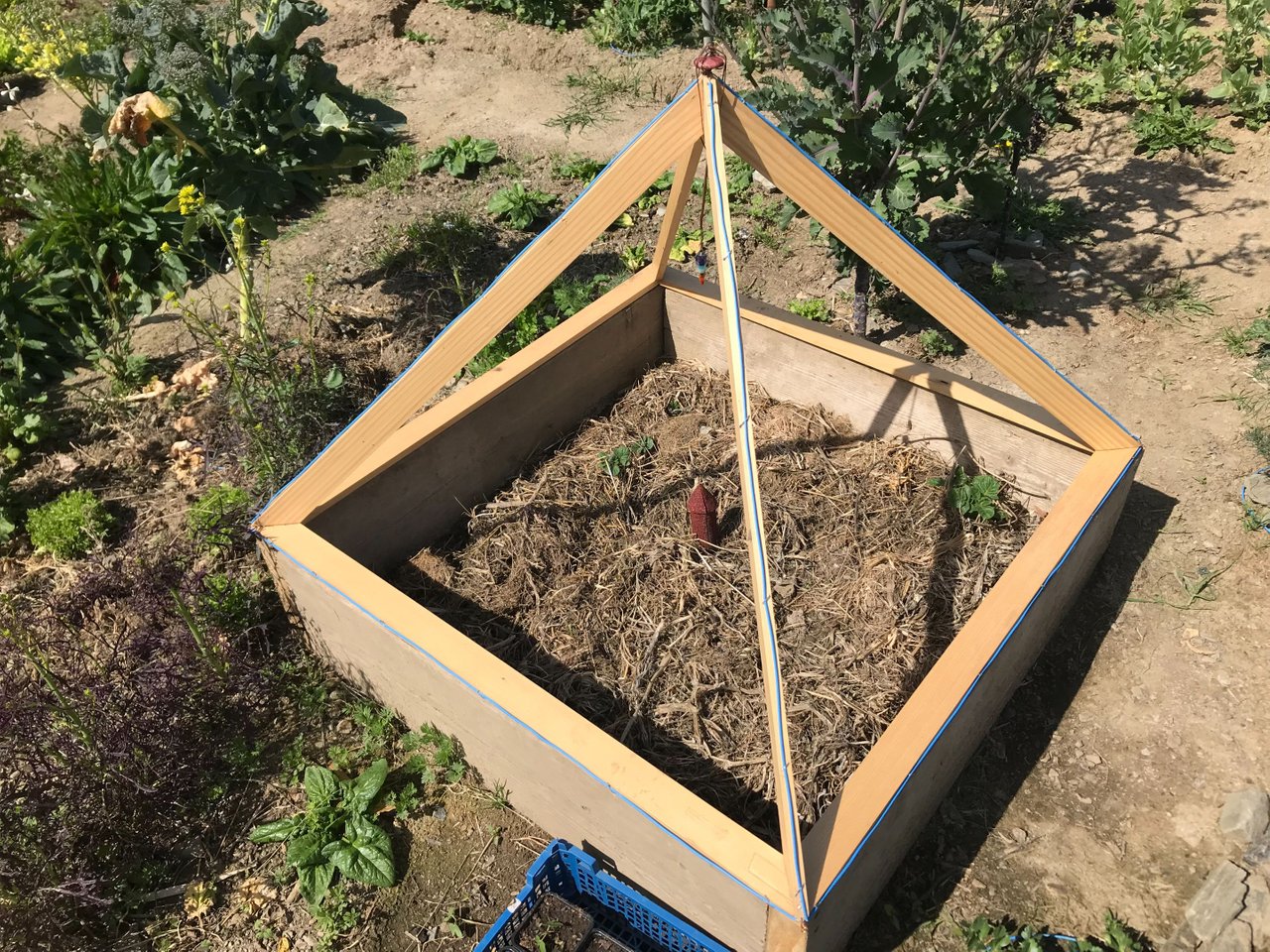 Electroculture results: mini round towers & pyramid potatoes 🌱