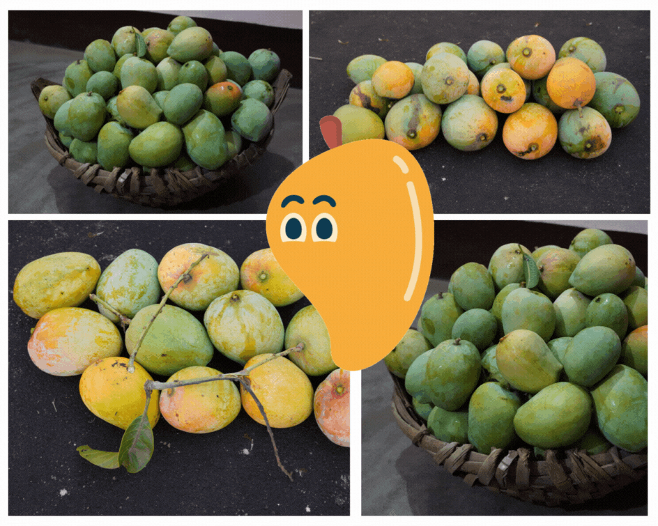 Mango Mania.gif