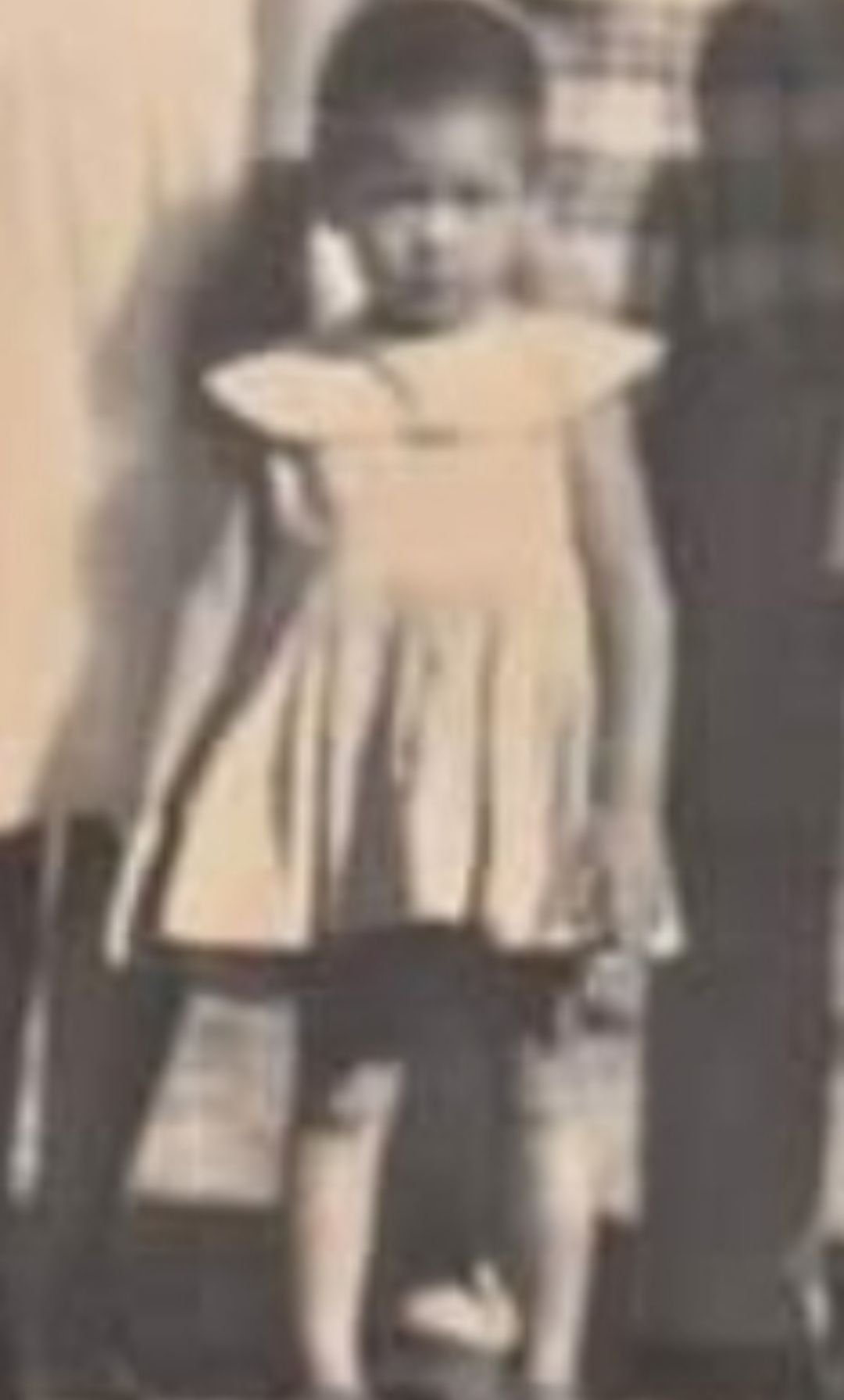 https://files.peakd.com/file/peakd-hive/sarimanok/23x1BcLA2Laktv7qNQjXYdXritN5QWKWEV1zDLGWEw1cDGazZPEnkPzLS91SjPFKZHPqk.jpg