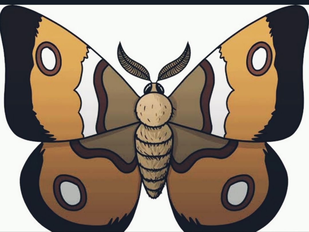 https://files.peakd.com/file/peakd-hive/sarimanok/23xpEqrkAn1tvJk4QCQsV2HTTe7pQk1EXcBd7Hbt4RM5FbY4yKhHvoeS6Je5HgV5ZYvzq.jpg