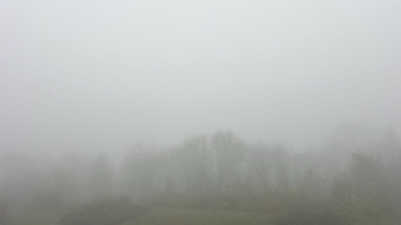 Tradition, Fasslrutschen und ein fester Wunsch [GER] ✌️Tradition, Barrel Sliding, and a Firm Wish [ENG]