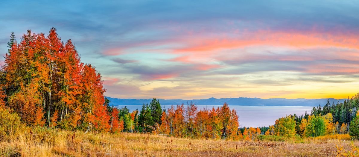 Aspens Above Lake Tahoe 20.jpg