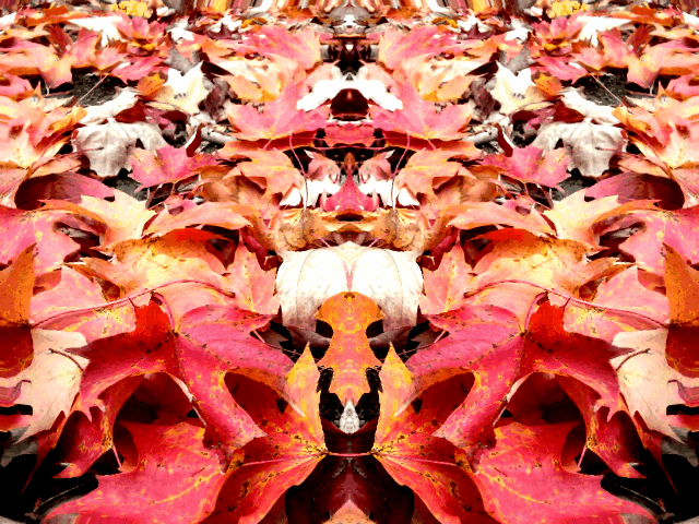 Automne Trip.gif