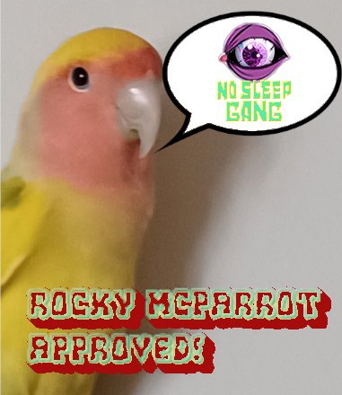 Rocky McParrot Meme