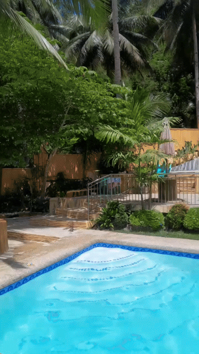 1000072976.gif