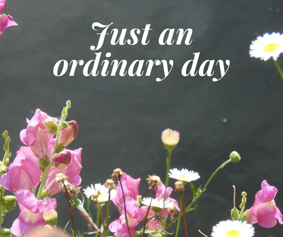 An Ordinary Day 