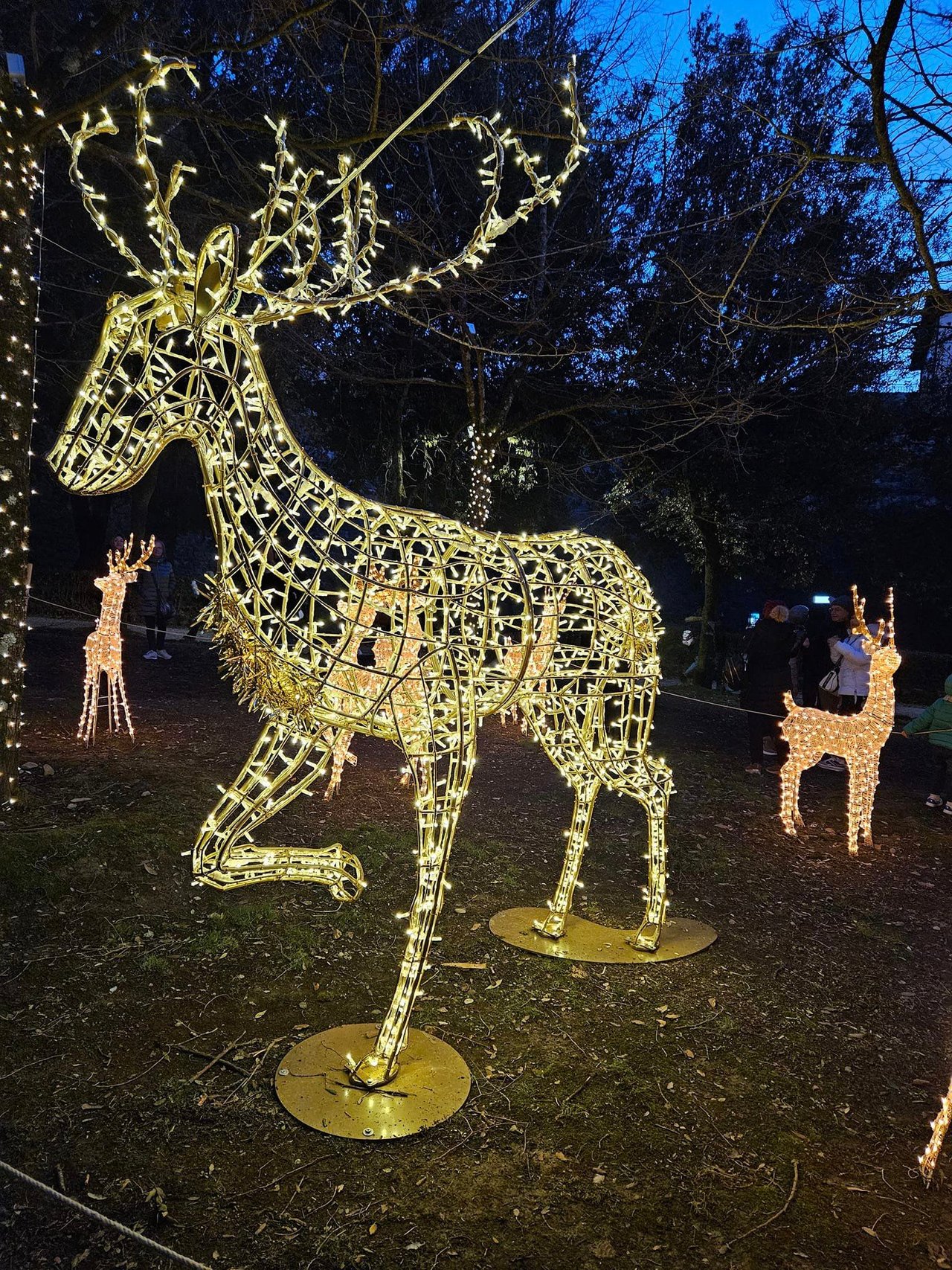 A Stroll to Admire the Christmas Lights in Arezzo